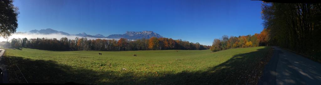 Pension David Hotel Puch bei Hallein Bagian luar foto