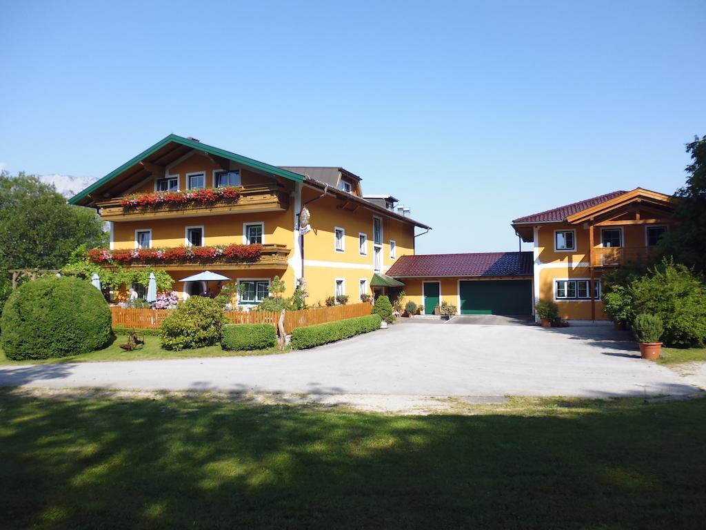 Pension David Hotel Puch bei Hallein Bagian luar foto