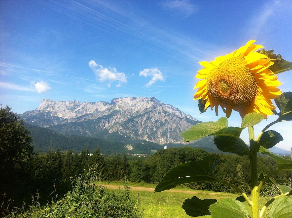 Pension David Hotel Puch bei Hallein Bagian luar foto