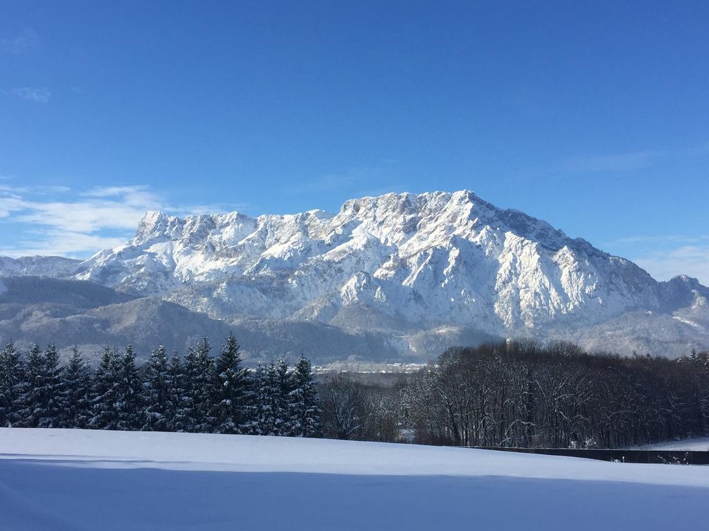 Pension David Hotel Puch bei Hallein Bagian luar foto